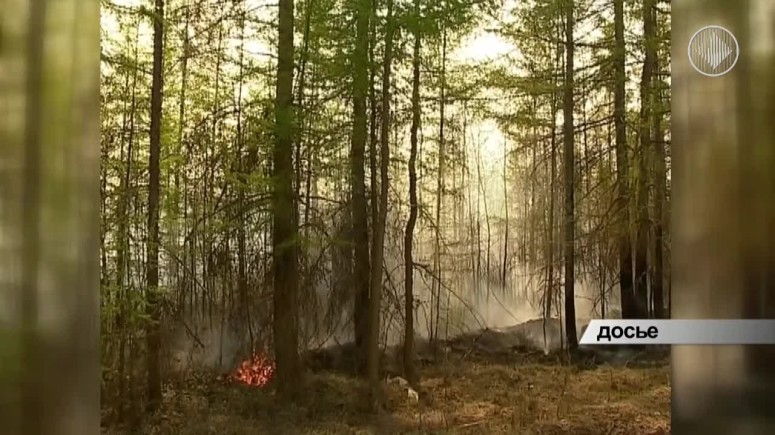 В Мирнинском районе идет подготовка к борьбе с лесными пожарами
