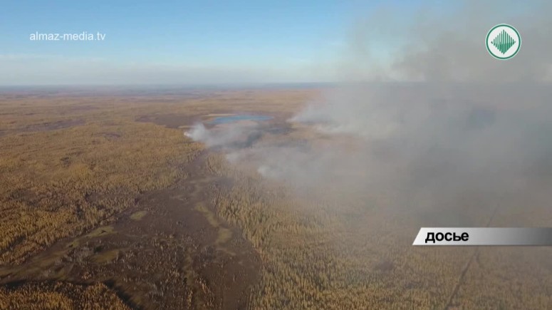 Лесные пожары в Мирнинском районе удается оперативно ликвидировать