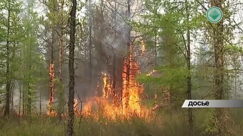 В регионе бушуют лесные пожары