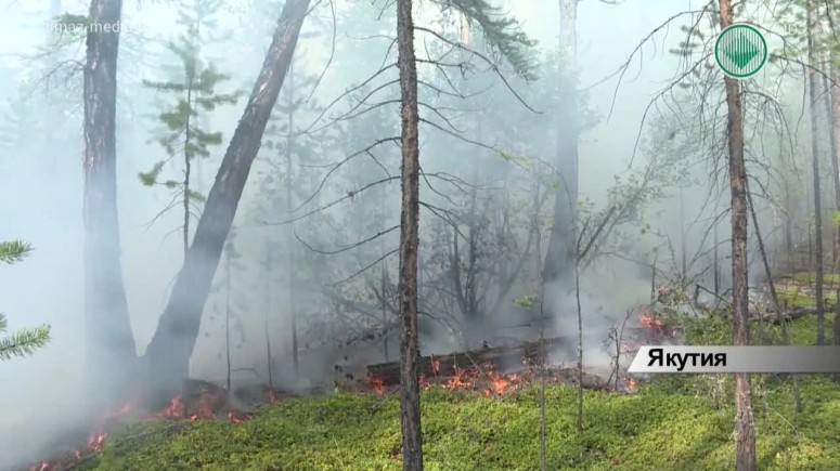 В Якутии зафиксировано 6 природных пожаров