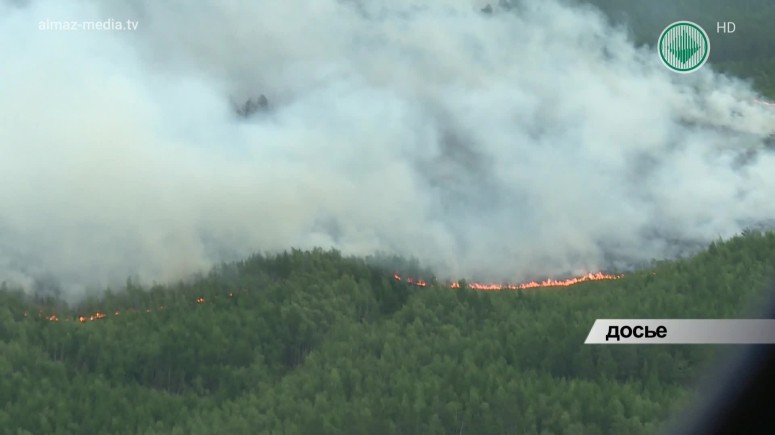Площадь лесных пожаров в Якутии увеличилась