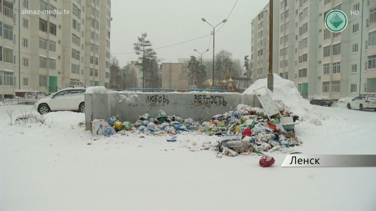 В Ленске не хватает мусорных баков