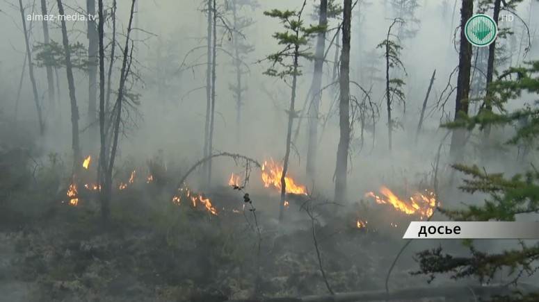 За 4 дня в Якутии удвоилось число лесных пожаров