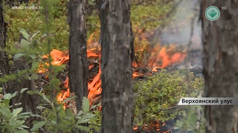 Борьба с лесными пожарами пока не выиграна