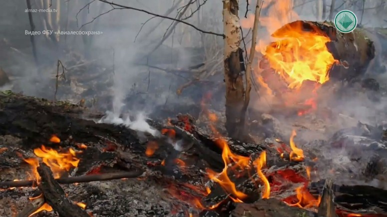 В Якутии выгорело почти три тысячи гектаров леса
