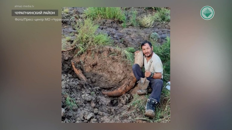 В Чурапчинском районе местный житель нашел бивень мамонта